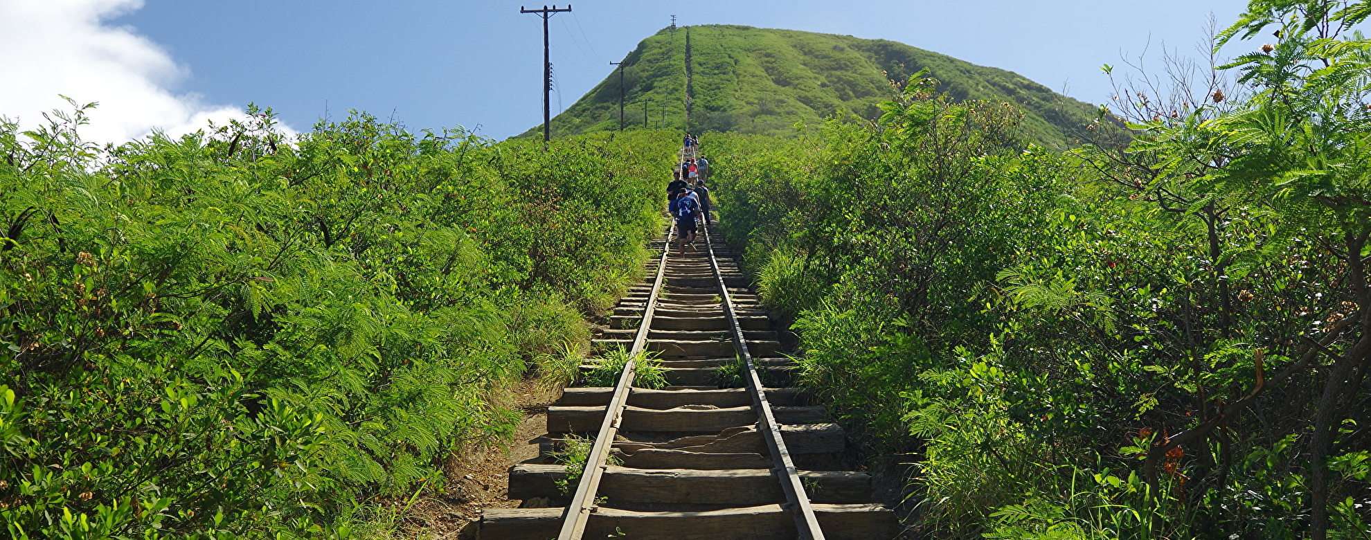 ココヘッド・トレイルを攻略 ハワイでハードなハイキングを楽しもう