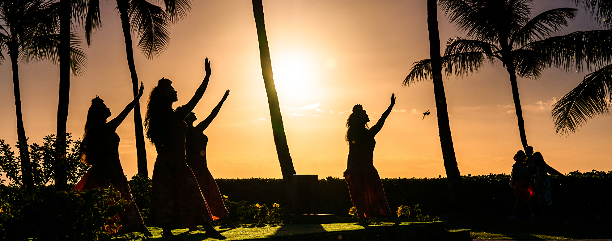 ハワイの伝統であるフラダンスとは？起源や鑑賞時のポイントを紹介